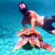 Desperate Sea Turtle Rescued Just in Time ❤️🙏