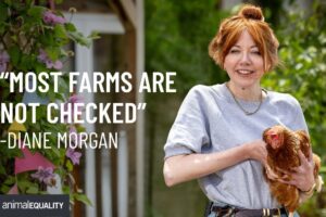 Diane Morgan meets rescued animals with Animal Equality