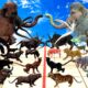 Epic Battle Prehistoric Lava Animals Vs Shadow Itself Mammals Size Animal Revolt Battle Simulator
