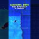 Fish Gamemode in Geometry Dash? 😭🥀