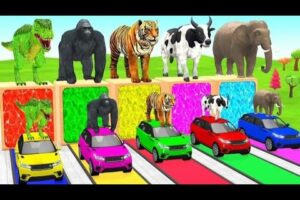 "Funny Animals Playing on Curs🚗🐘 Which car Matches Which Animal?