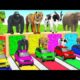 "Funny Animals Playing on Curs🚗🐘 Which car Matches Which Animal?
