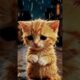 Giant Hand Saves Tiny Animals in Rain #viralshort #youtubeshorts #animalrescue