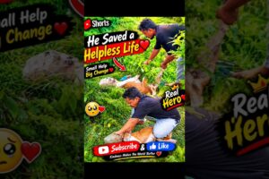 He Saved a Helpless Life ❤️🐕#shorts #dog #rescue #help #motivation #bangladesh #viral #love #video