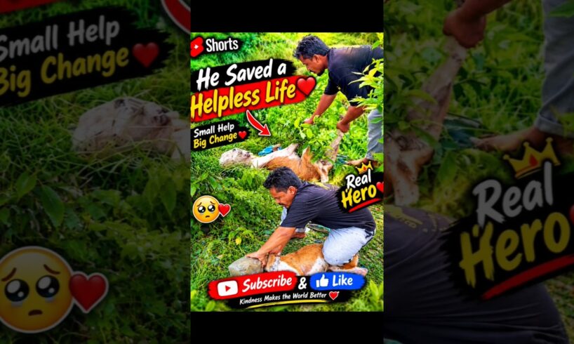 He Saved a Helpless Life ❤️🐕#shorts #dog #rescue #help #motivation #bangladesh #viral #love #video