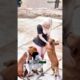 Heartwarming Animal Rescues That Prove Humanity Is Still Kind part 7