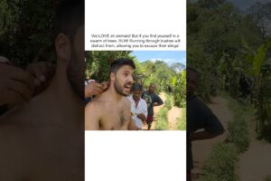 INSANE Swarm of Bees Target Hikers!
