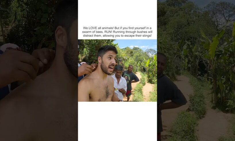 INSANE Swarm of Bees Target Hikers!