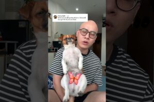 Kím tiền niềng răng cho con gái để con gái còn lấy được chồng 😀