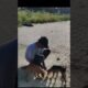 Puppies 🐈 cute puppies#nature#eating#biscuit#fyp#cute#puppy