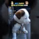 Ranking BEST PUPPY WITH ATTITUDE Core 🐶