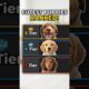 Ranking The Cutest Puppies Ever 🐶📊 #animals #trending #puppylove