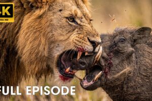 SAVANNA SURVIVAL | Nature’s Greatest Animal Battles | FULL EPISODE | Wildlife Documentary