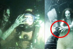 STRANGE RECORDINGS: Mermaids Take Divers To The Depths | Real Mermaid Encounter | Compilation