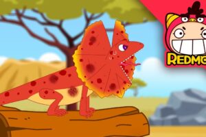 Save the Frilled-neck Lizard | Animal Rescue Team | 4K cartoon | REDMON