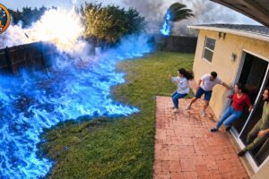 That Really Happened in People's Backyards #2 | Best Fails of Week