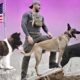 These Are 10 Best Dogs for Wilderness Survival