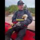 This Eagle Saved the Man Who Saved Him! #animals #usa