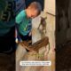 Two Lost Fawns Found Hope #deer #rescue #wildlife #lovestory #reunion #animalfriendship #animals