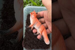Urgent Animal Rescue: Female Fox 🦊Vs🐜 Bullet Ants