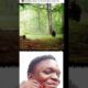funny animal fighting #fyp #trending #animals #spotlight #viral