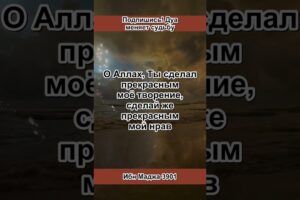 Сунна у зеркала, о ней забыли 🤲 Ибн Маджа 3901 #дуа #ислам #shorts #дуа #ислам #shorts