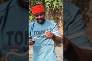 🐍इक प्यारा सा baby snake 🐍 rescue |rat snake rescue video |#snake #rescue #viralvideo #shorts