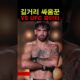길거리 싸움꾼 vs UFC 파이터