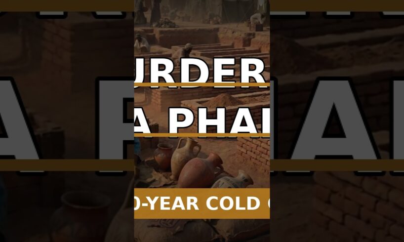 #019 — Pharaoh's Servants Were Murdered — 5,000-Year-Old Skulls Prove It (Free Source Map)