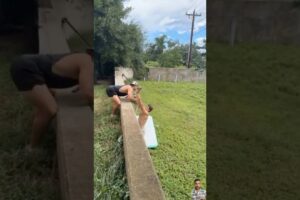 Heartwarming Animal Rescues That Prove Humanity Is Still Kind part 13