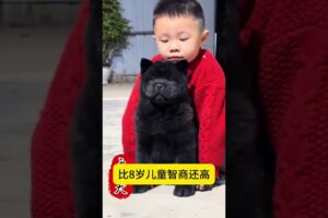 The love for these cute puppies grows day by day #dog #pet #cutedog #puppy #puppylove #cuteanimal