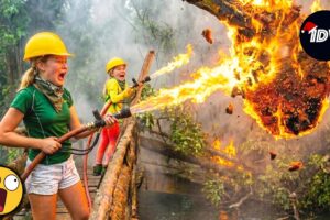 TOTAL IDIOTS AT WORK | Instant Regret Fails Compilation 2026 | Best Fails of the Week #249