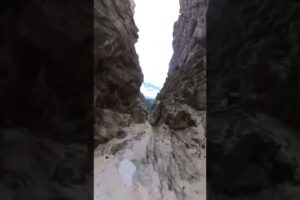 British wingsuit champion dies in Swiss alps after jumping off mountain