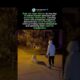 DOG TURNS A SIMPLE OBJECT INTO A SOCIAL GAME