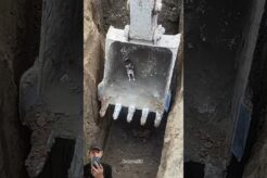 Excavator Animal Rescue Technique | Smart Heavy Equipment Operation