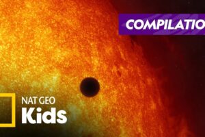 Exploring Earth's Closest Neighbors | A Traveler's Guide to the Planets Compilation | Nat Geo Kids