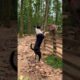 Funny monkey and dog playing together. 71 #monkey #animals