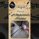 💔 Gate Ke Neeche Phansi Masoom Billi 😢🐱 | Cat Rescue #Shorts #Viral #sad #ytshorts #cat #animal #ys