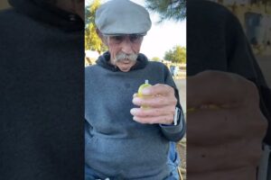 Grandpa’s Last Jelly Fruit 🍍🥺 Subscribe