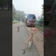 Lakdi ki Kathi 🐕🤍#part 449 #lakdi ki Kathi #shorts #dog playing with balloon #puppy dog balloon