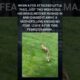 Mama Deer Fights Off a Fox to Save Her Tiny Baby 🦌❤️ | Mother’s Love Knows No Fear