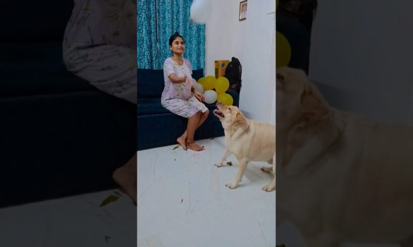 Mawakalipothundhi Me & Sister both playing balloon🎈😘😍🥰❤️😇🥳💓🩷💖❤️#trending #shorts #evaaurmumma #viral