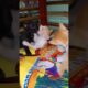 Meow meow Poona kutty😹 kittens playing 😻 #cat #kitten #animals #trending #video #viralcat #shorts