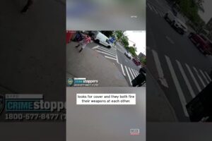 NYPD Seeks Suspect After Daytime Shooting in Queens #Shorts