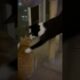 Playtime #cat #catvideos #catshorts #catmemes #cats #funny #play #lol #cute #animals #funnyvideos