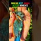 Ranking The Best Animal Rescue Moments 😂 #shorts #funny