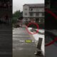 Rescuer Risks Rushing Water to Save Dog Trapped in a Powerful River #animalrescue #rescuedog #viral
