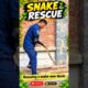 Snake Rescue: Amazing Snake Saving Technique You Need to See! #snakerescue #snake