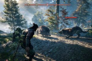 THE BLOOD OF DAWNWALKER - ALL ANIMAL FIGHTS - PART 2!!!!