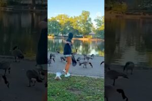 This Animal Rescue Will Melt Your Heart 🥹❤️ #Shorts